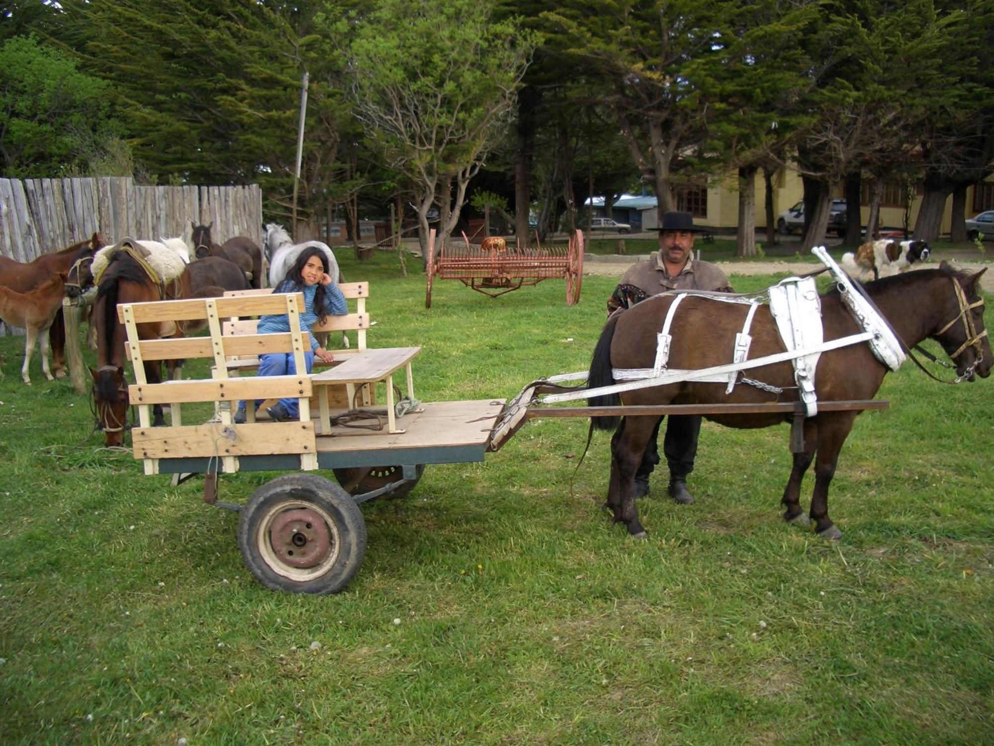 Estancia Rio De Los Ciervos Punta Arenas Esterno foto