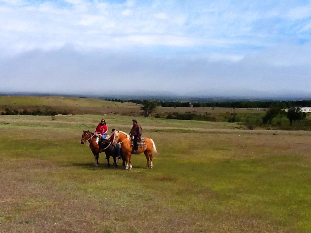 Estancia Rio De Los Ciervos Punta Arenas Esterno foto